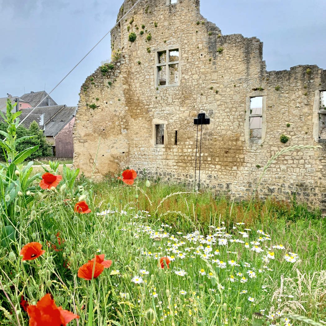 Roadtrip Luxembourg, Reiseführer für Selbstentdecker. Mache deine Luxemburg Reise zum Abenteuer. Eine Reise durch das letzte Großherzogtum