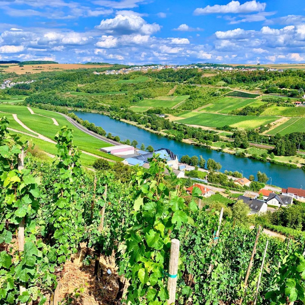Luxemburger Weinstraße N10 entlang der Mosel - Route du Vin